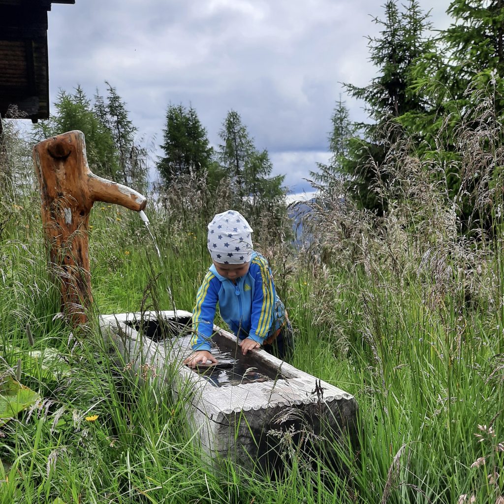 Raul am Wassertrog in Obertilliach, Osttirol